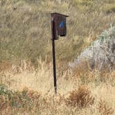 Review photo of Makoshika State Park Campground by Cable A., October 20, 2025