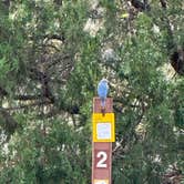 Review photo of Makoshika State Park Campground by Cable A., October 20, 2025