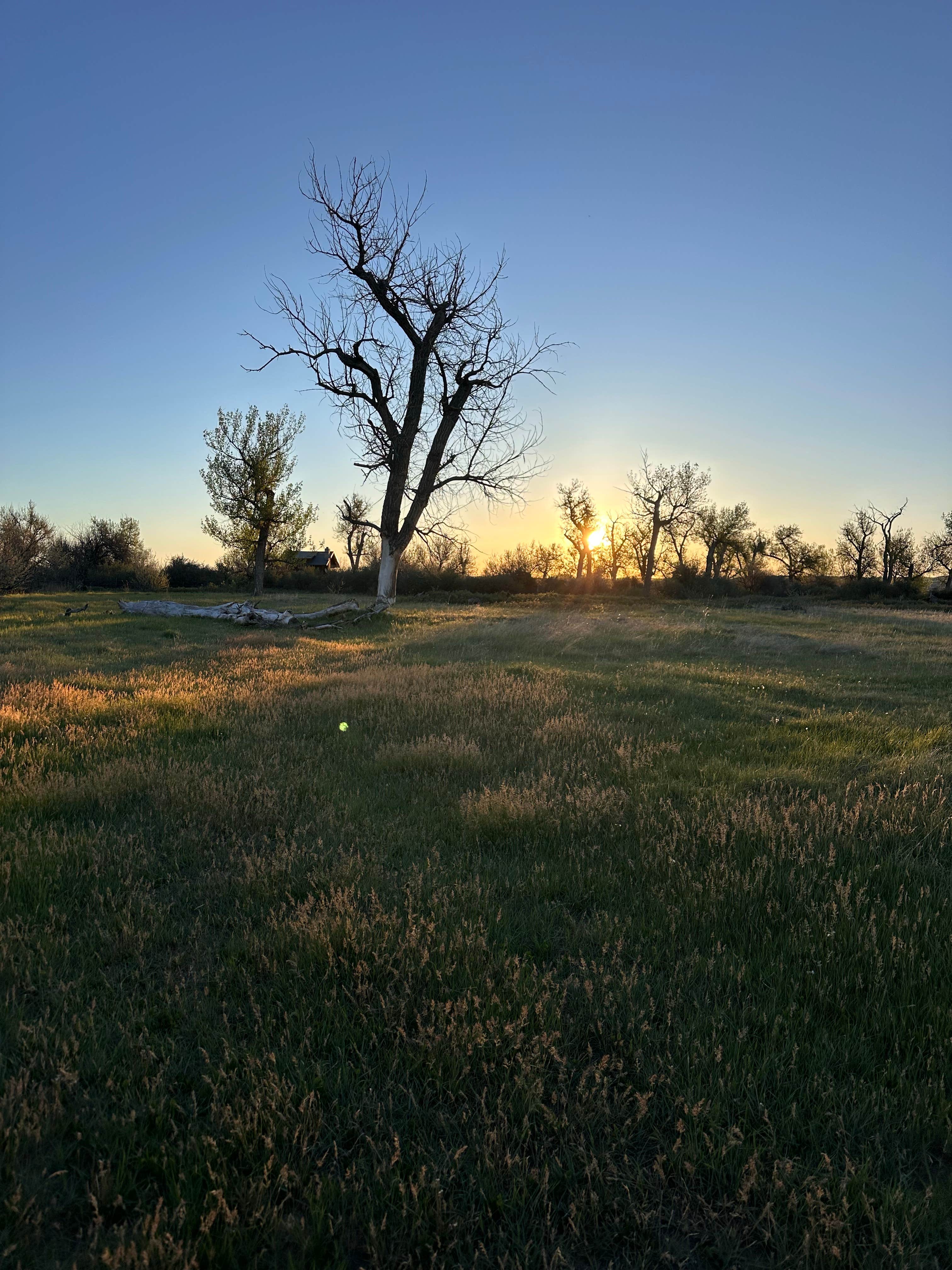 Camper-submitted photo at Mallards Landing near Billings, MT
