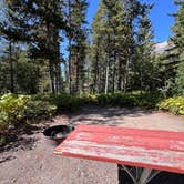 Review photo of Many Glacier Campground — Glacier National Park by Lainey P., August 30, 2026