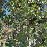 Review photo of Many Glacier Campground — Glacier National Park by Lainey P., August 30, 2026