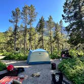 Review photo of Many Glacier Campground — Glacier National Park by Joseph L., July 14, 2024