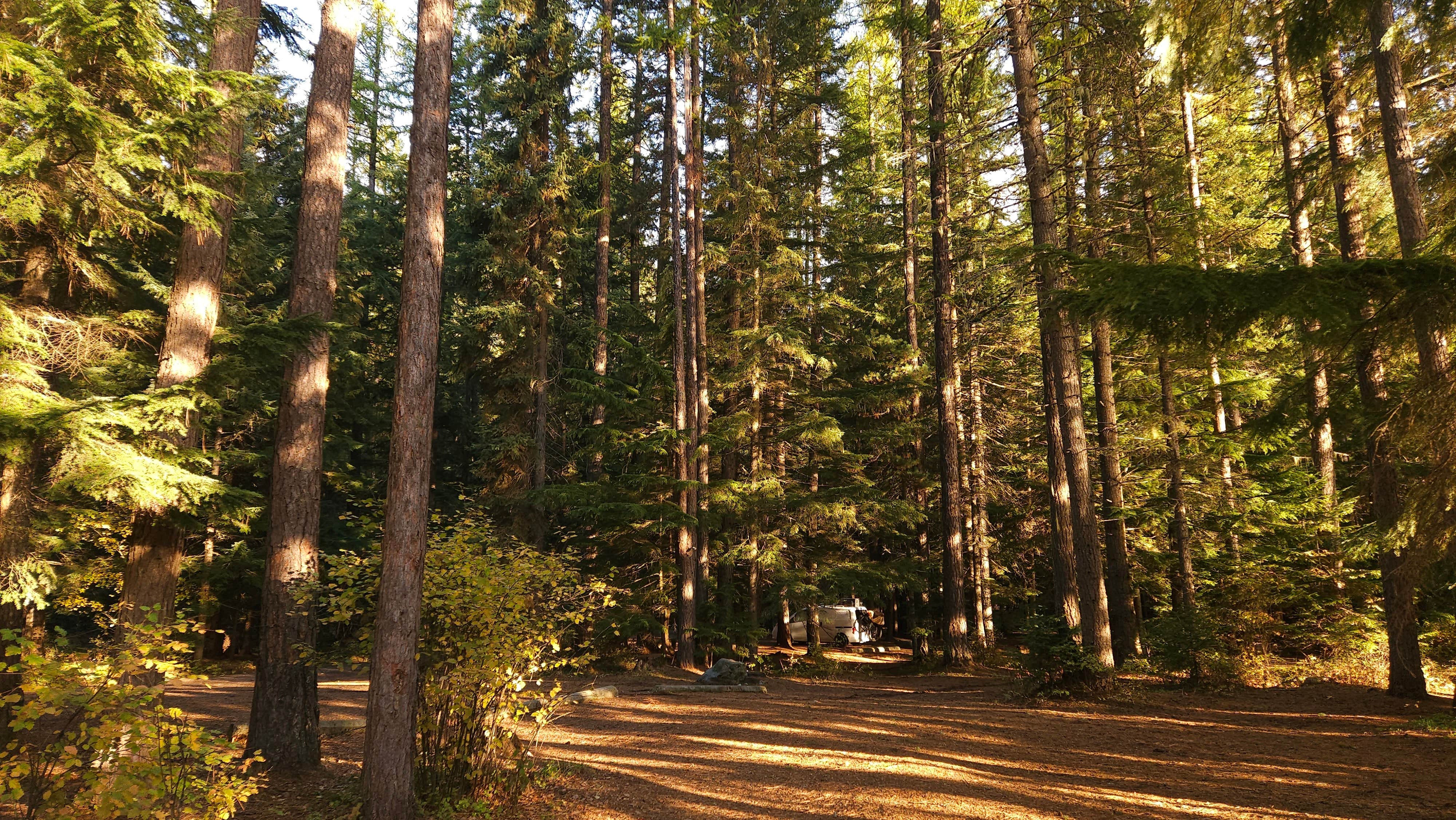Camper-submitted photo at Marten Creek Campground near Noxon, MT
