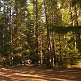 Review photo of Marten Creek Campground by Kevin C., October 17, 2025
