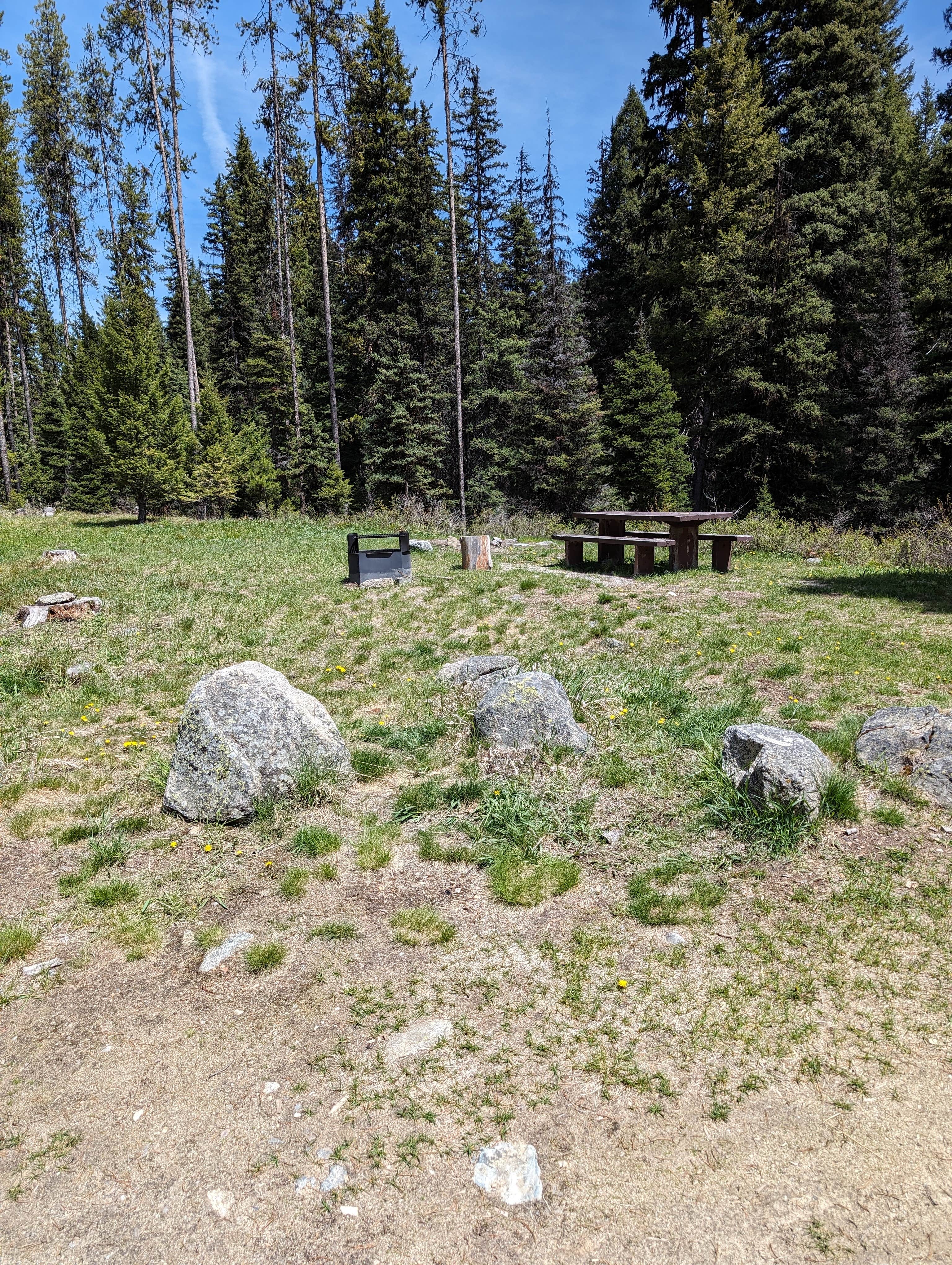 Camper-submitted photo at Martin Creek near Sula, MT