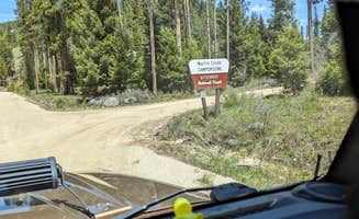 Scott C.'s photo of camping with pets at Martin Creek near Bitterroot National Forest