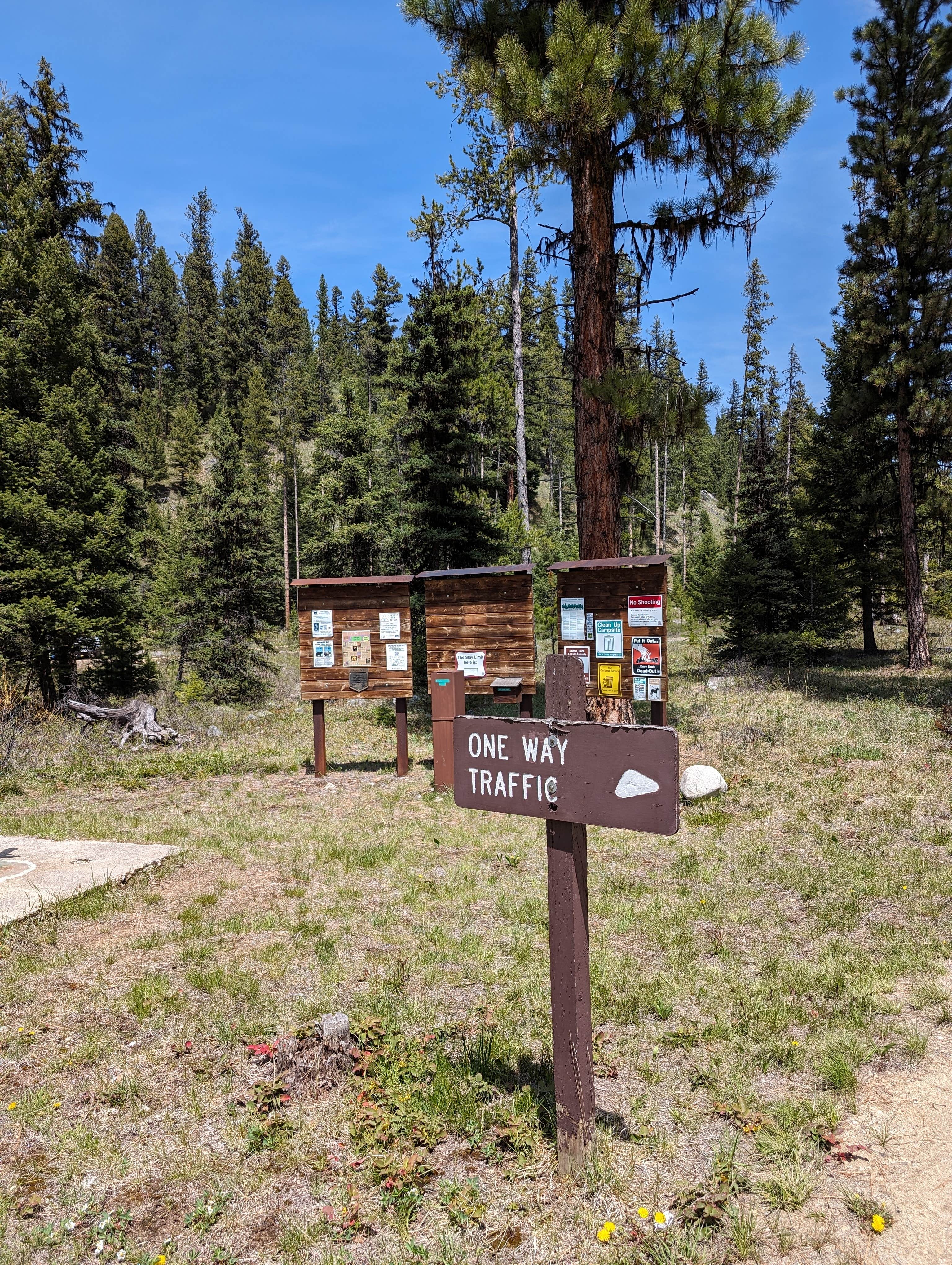 Camping near Mussigbrod: Martin Creek, Sula, Montana
