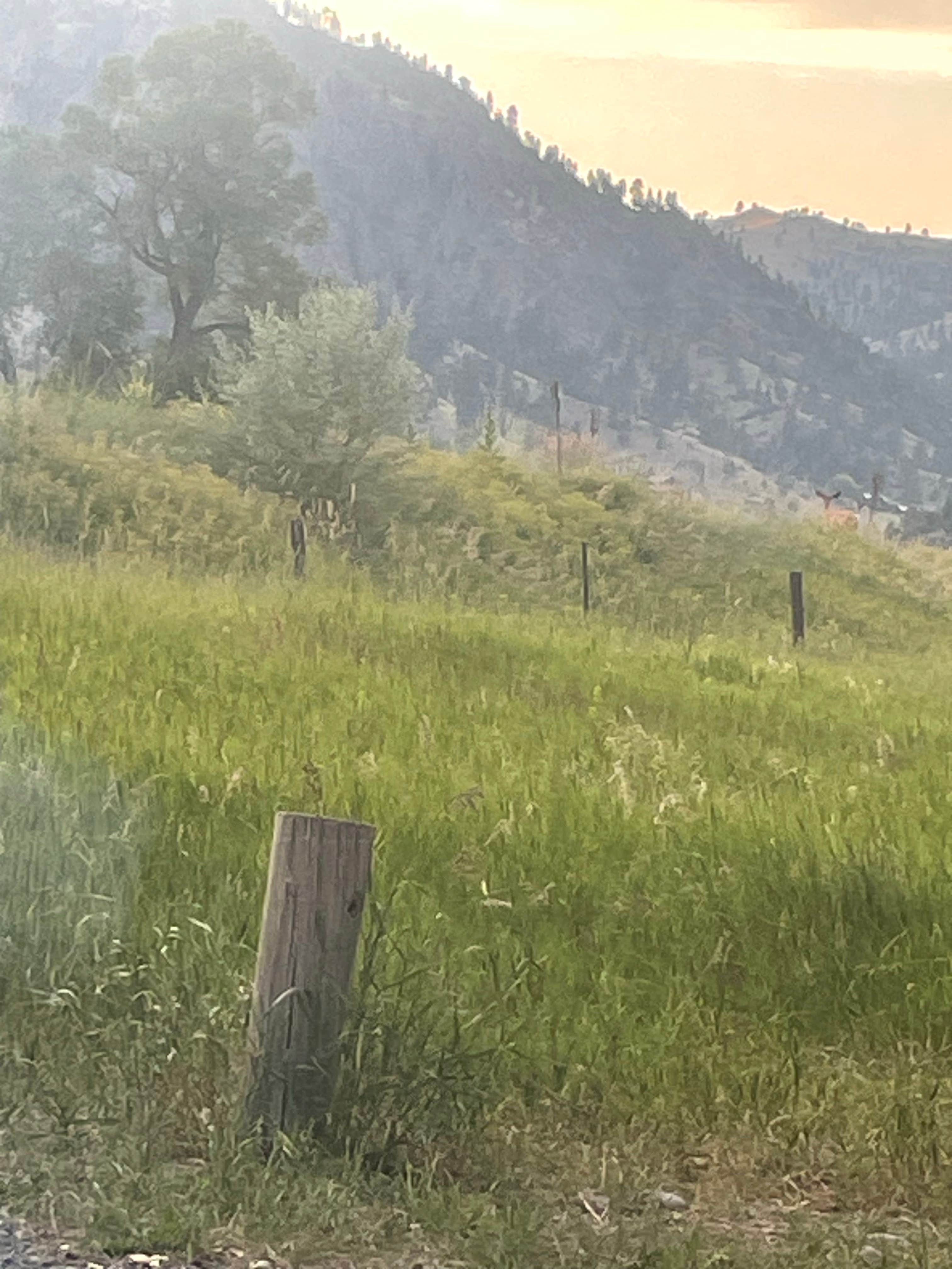 Camper-submitted photo at Mid-Canon Fishing Access Site near Lewis and Clark National Forest