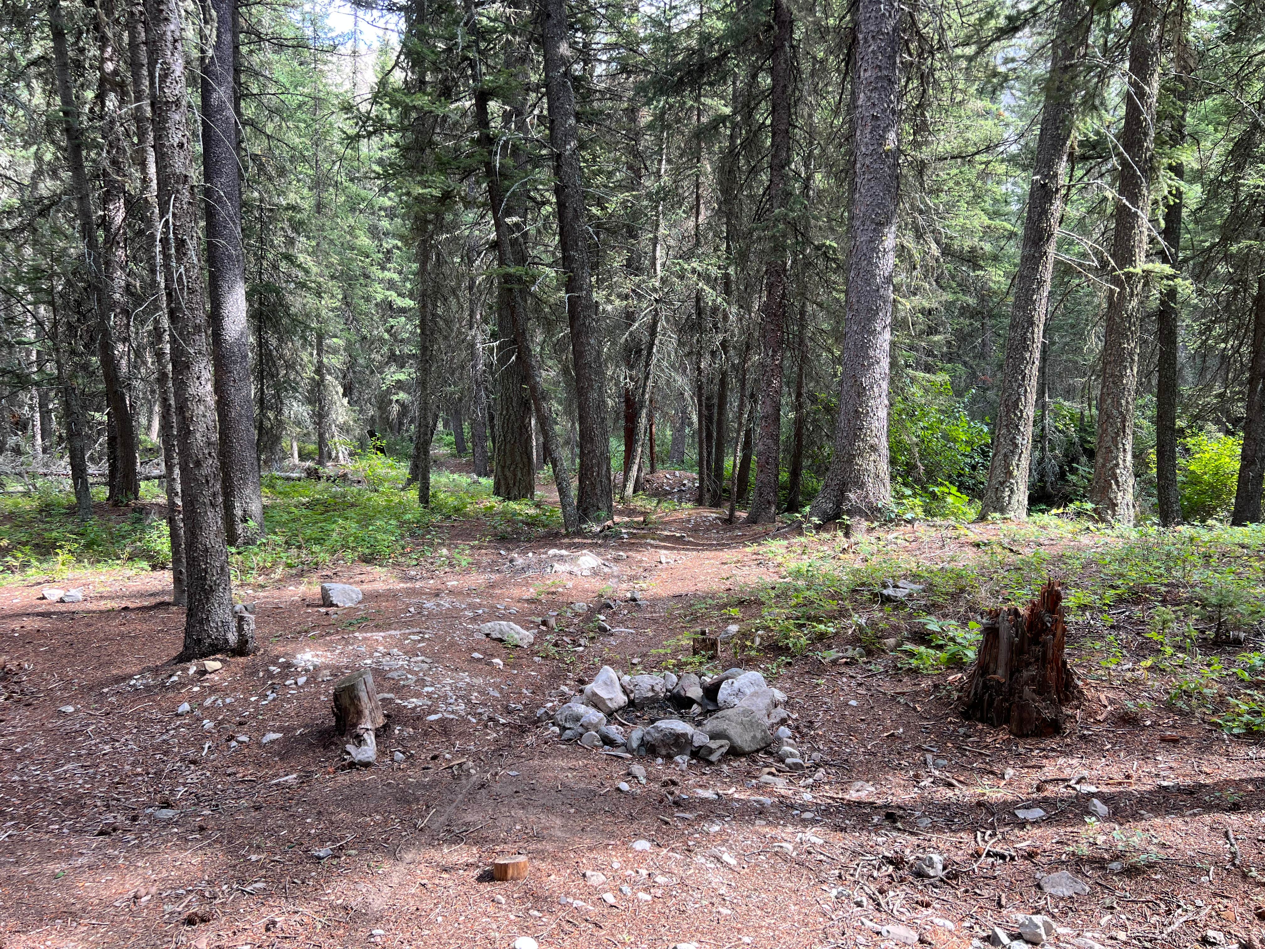 Camper submitted image from Mill Falls - 1