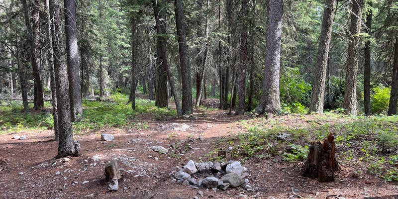 Camper submitted image from Mill Falls