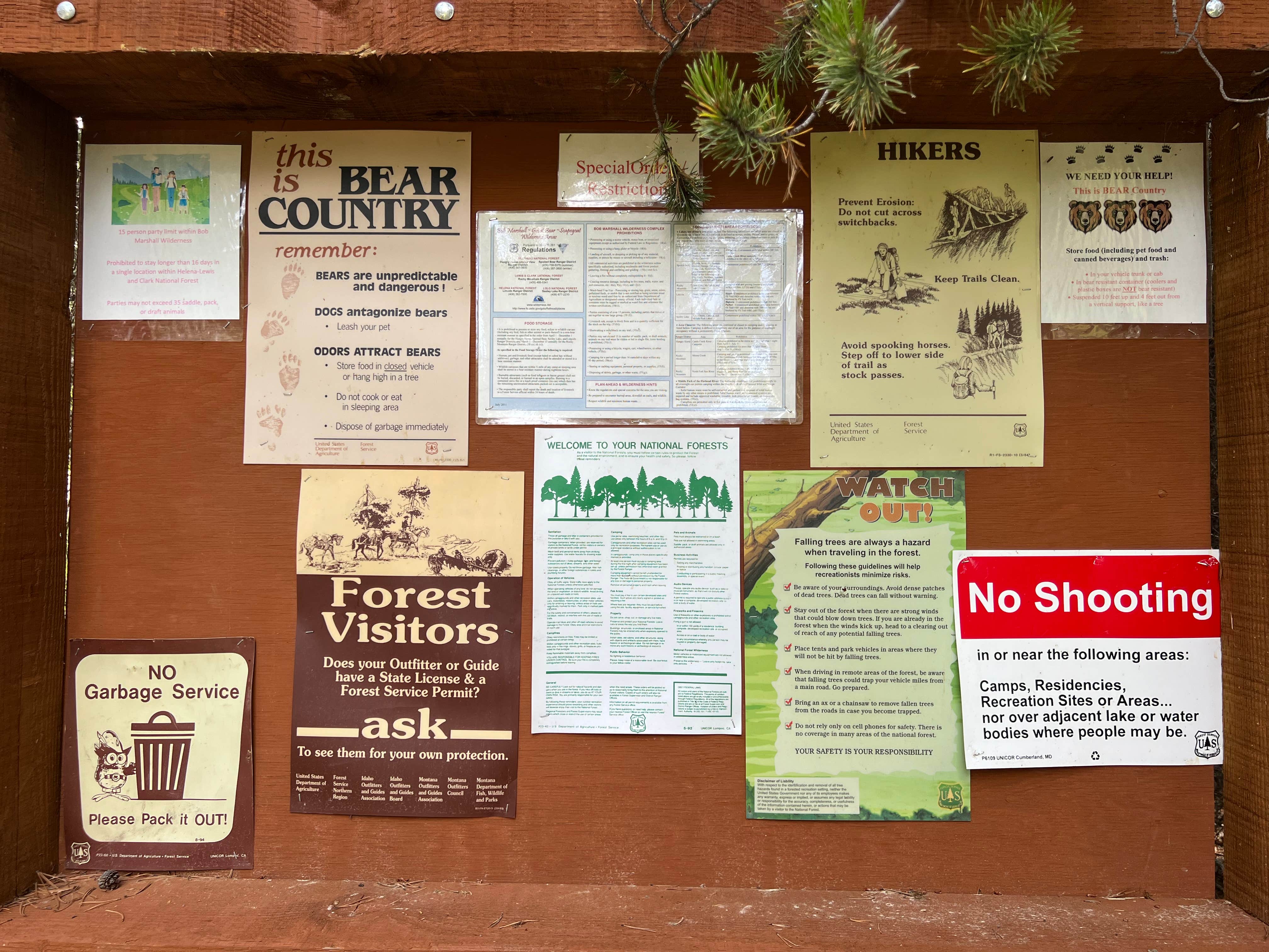 Camper-submitted photo at Mill Falls near Choteau, MT