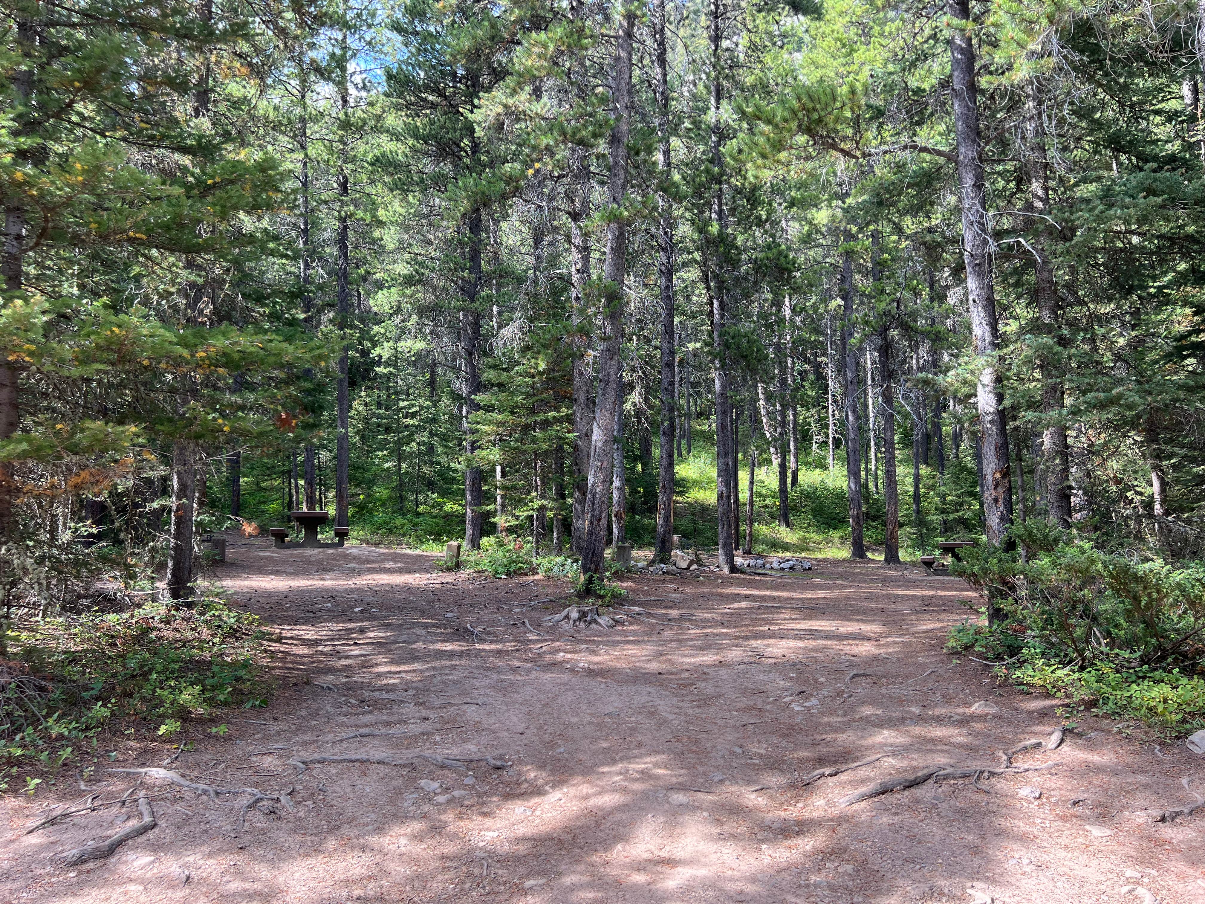 Camper-submitted photo at Mill Falls near Choteau, MT