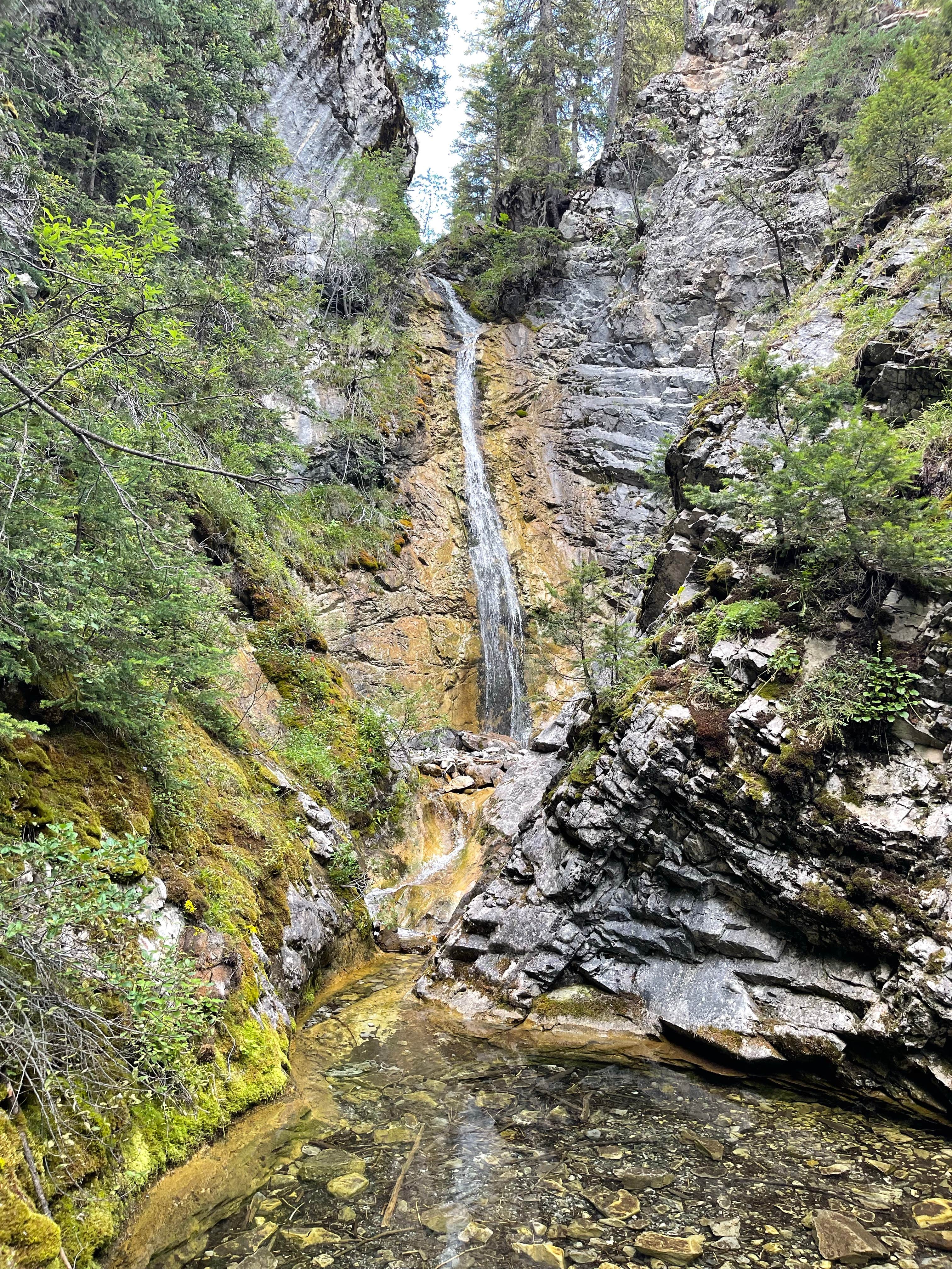 Camper-submitted photo at Mill Falls near Choteau, MT
