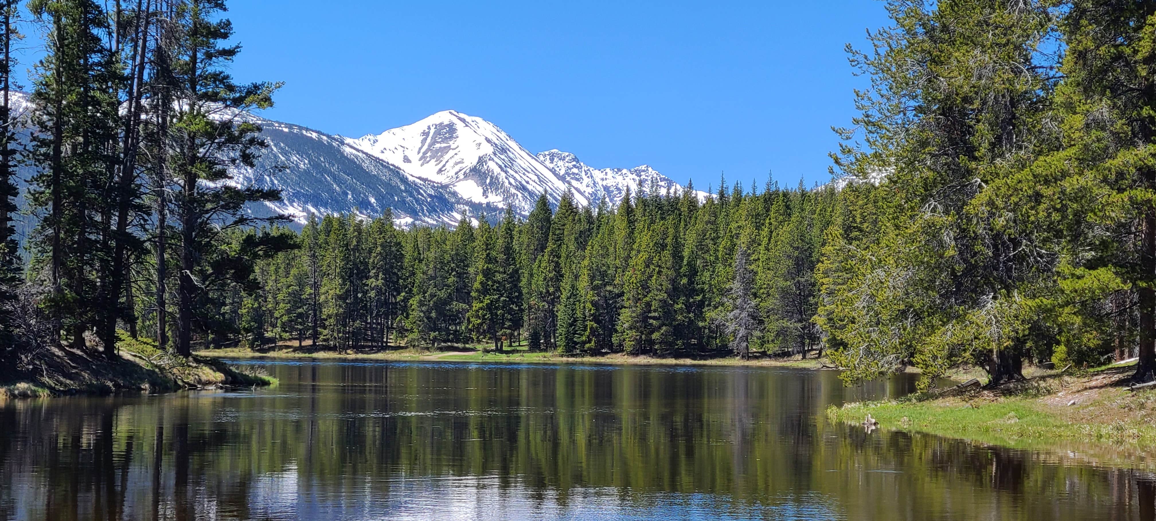 Camper-submitted photo at Miner Lake near Jackson, MT