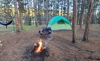 jimsch71's photo at Miner Lake near Polaris, MT