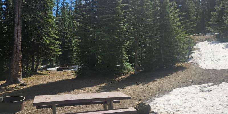 Camper submitted image from Moose Lake