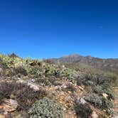 Review photo of Montana Mountain Loop FDR 1931 by C L., January 31, 2026