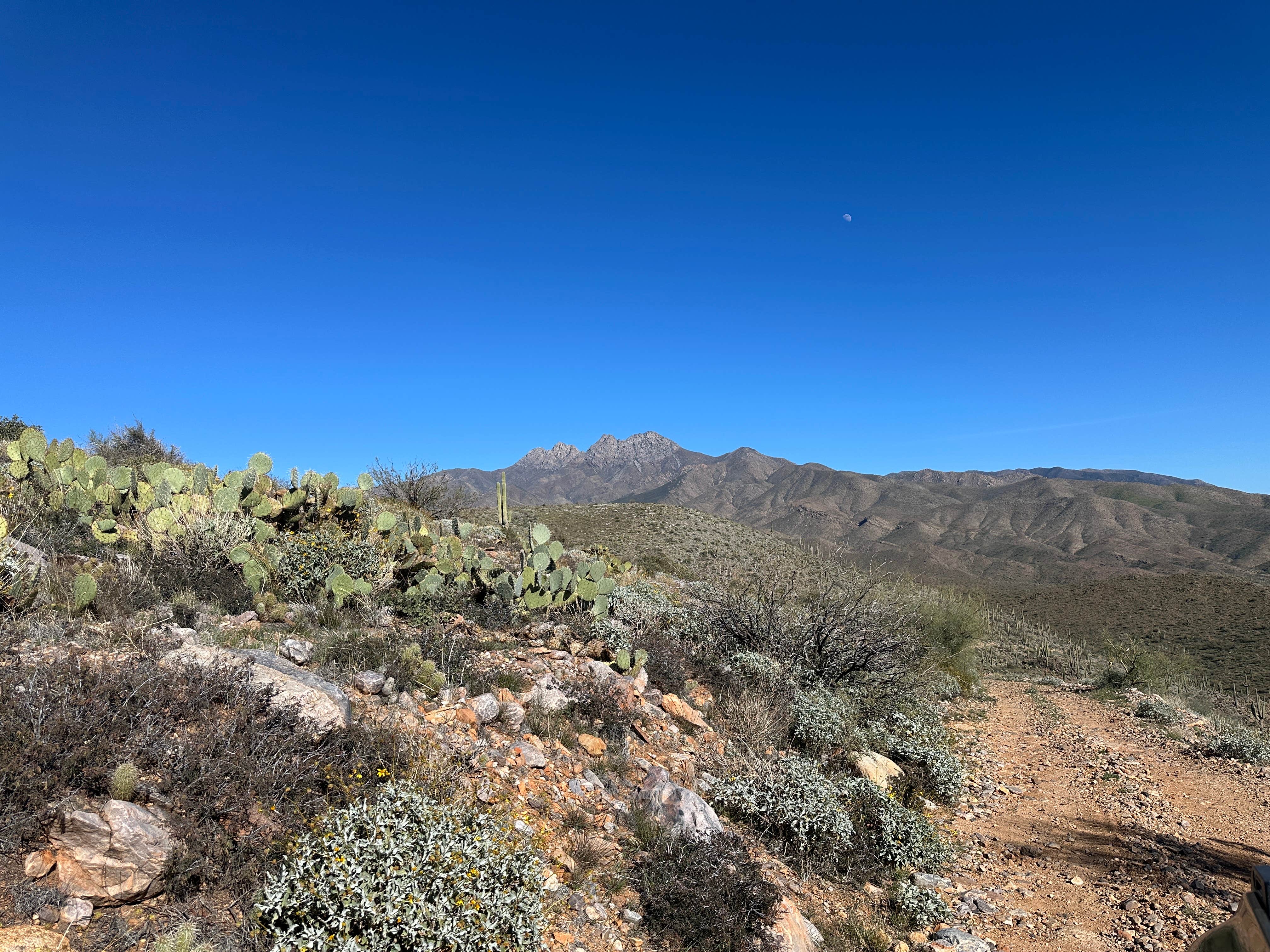 Camper submitted image from Montana Mountain Loop FDR 1931 - 1