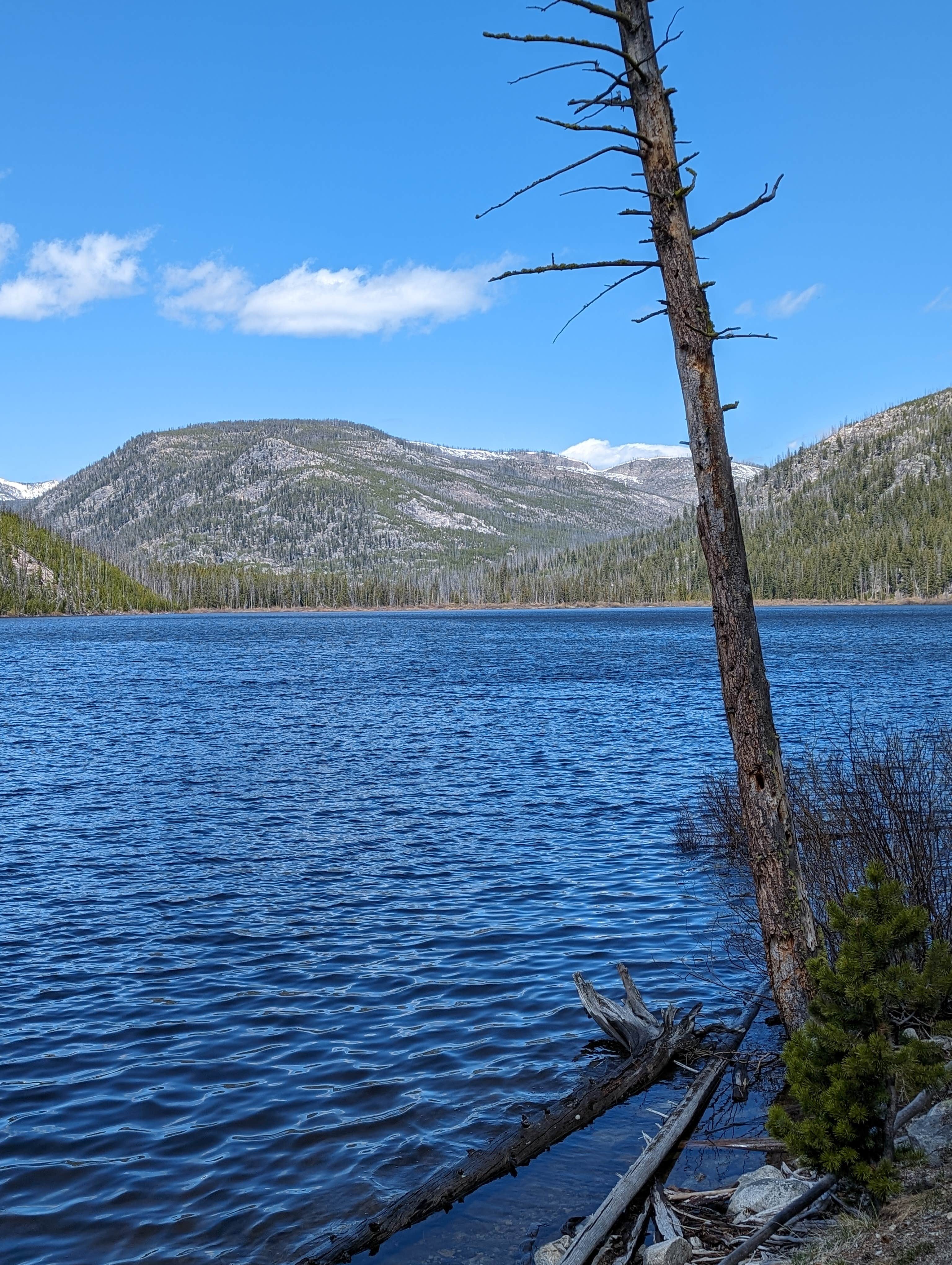Camper-submitted photo at Mussigbrod near Glen, MT