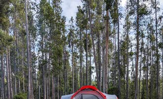Camping near May Creek: Mussigbrod, Wisdom, Montana