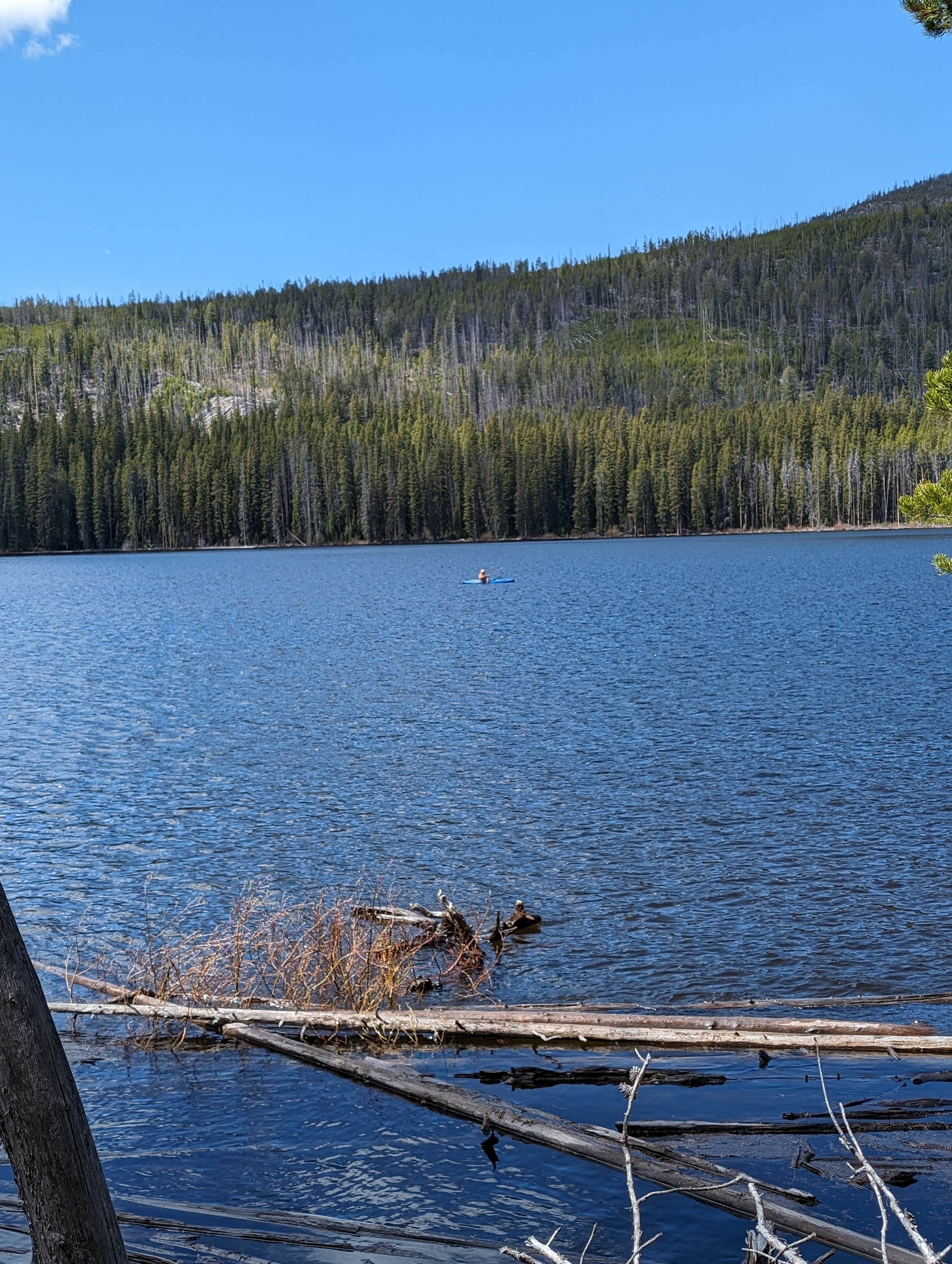 Camper-submitted photo at Mussigbrod near Glen, MT
