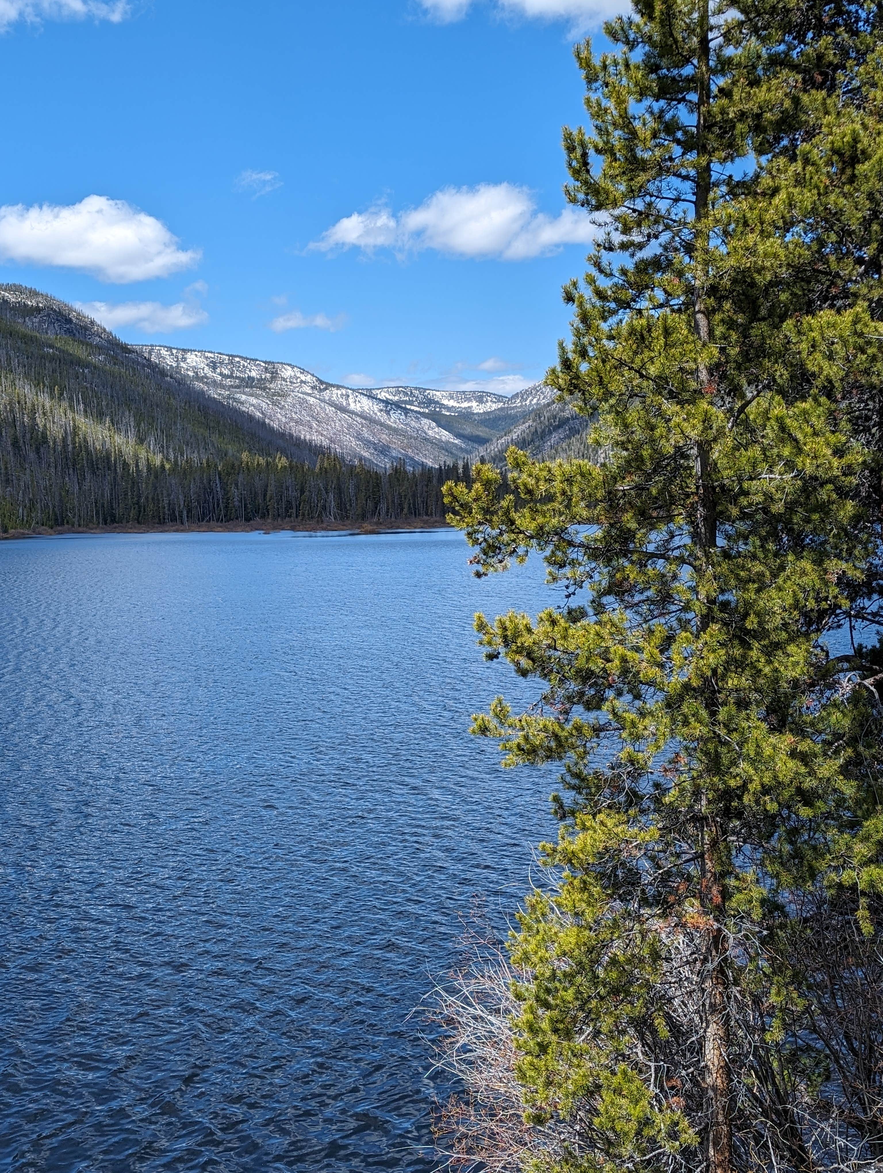 Camper-submitted photo at Mussigbrod near Glen, MT