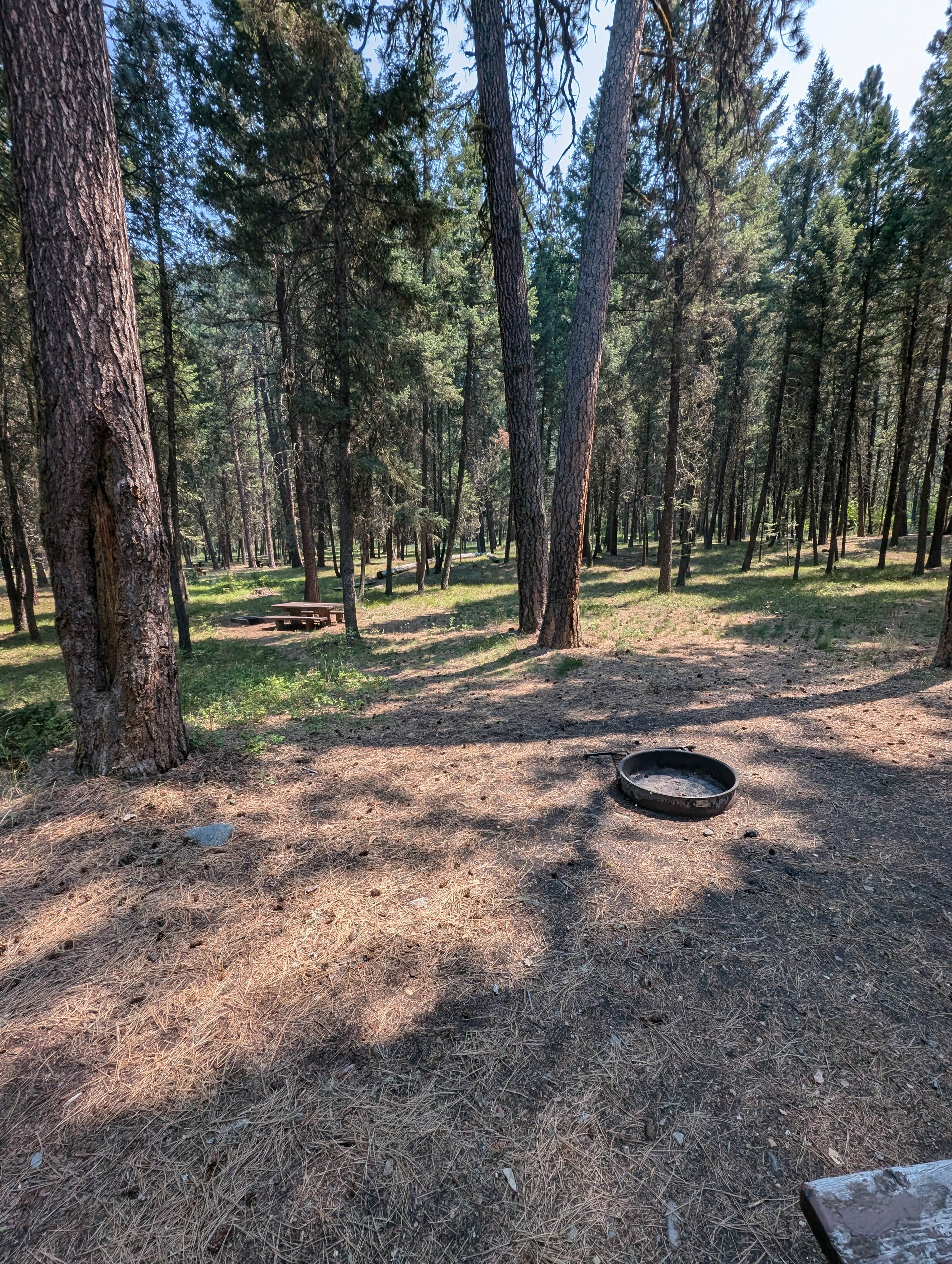 Camping near Lolo National Forest Harry's Flat Campground: Norton, Clinton, Montana