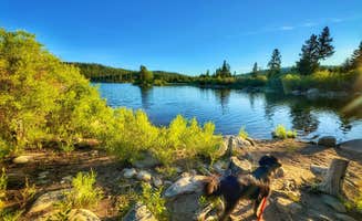 Sadie P.'s photo of camping with pets at Park Lake Campground near Helena, MT