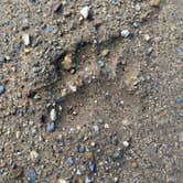 Review photo of Park Lake Campground by Cable A., October 20, 2025