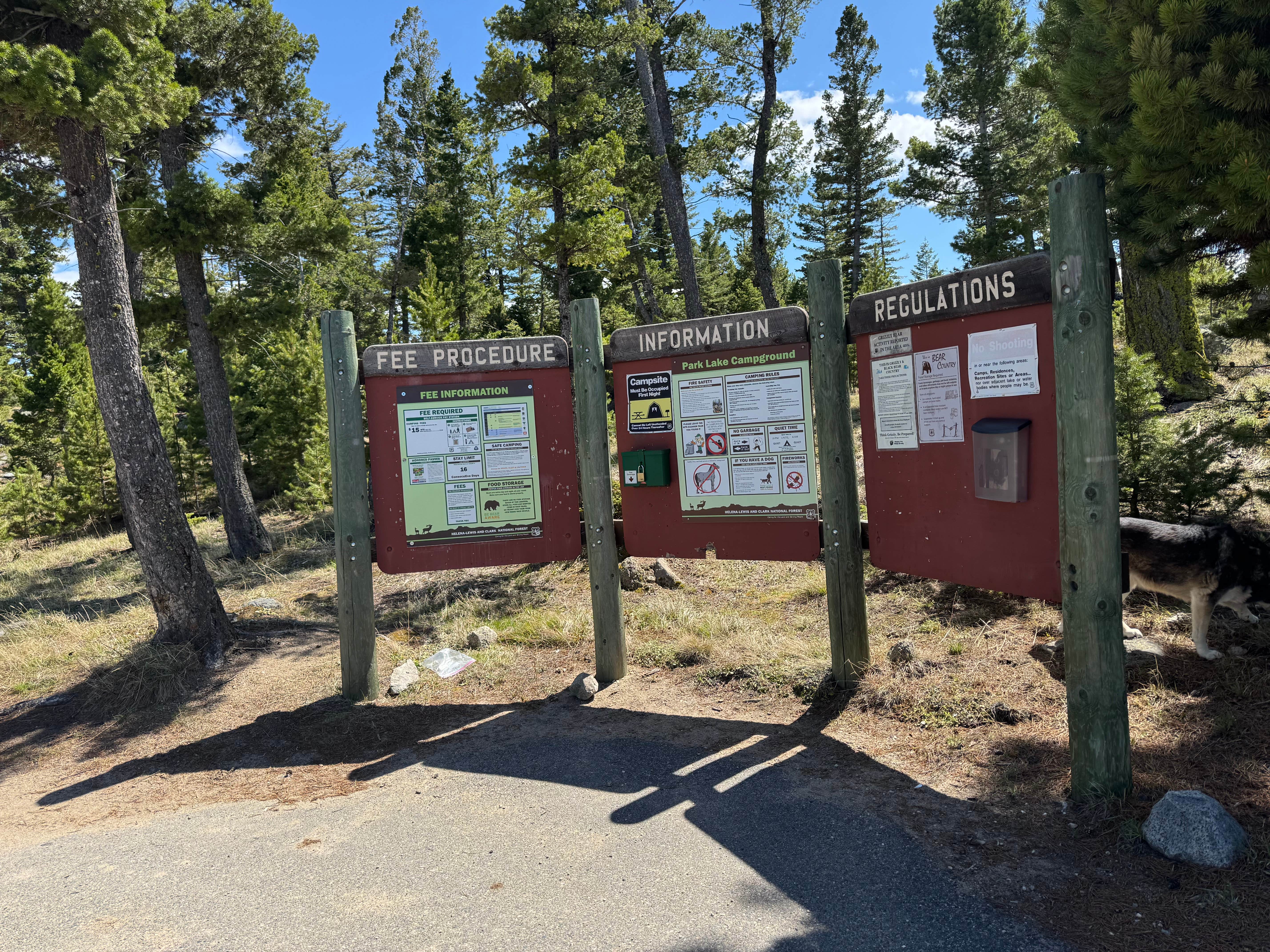 Cable A.'s photo of camping with pets at Park Lake Campground near Butte, MT