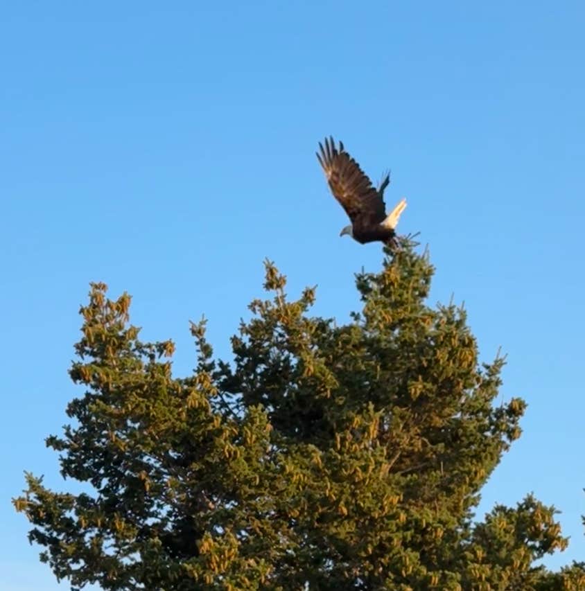 Park Lake Campground