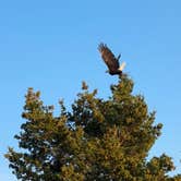 Review photo of Park Lake Campground by Cable A., October 20, 2025