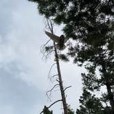 Review photo of Park Lake Campground by Cable A., October 20, 2025