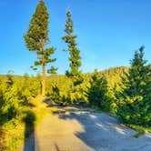 Review photo of Park Lake Campground by Sadie P., July 2, 2025
