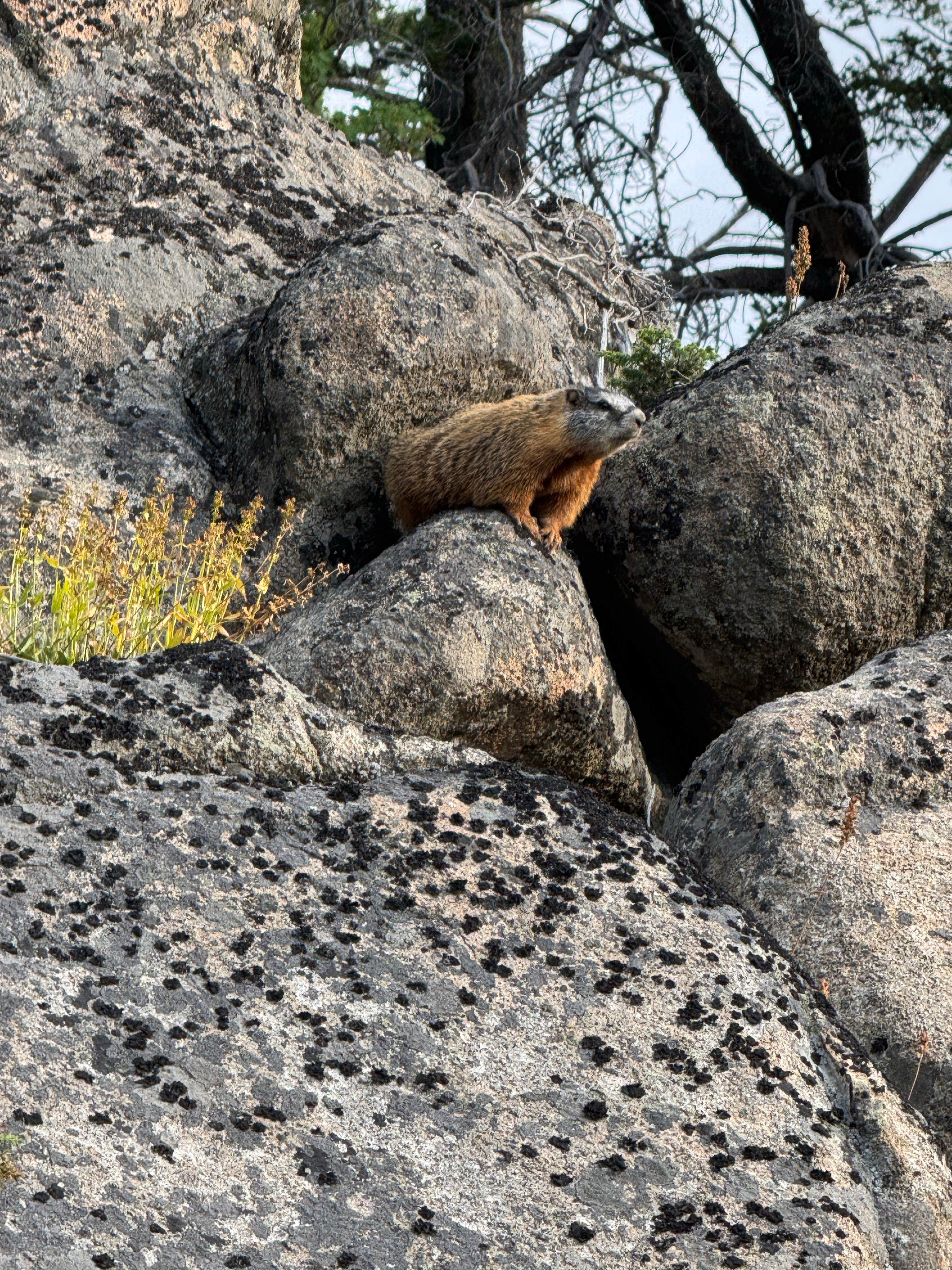 Park Lake Campground