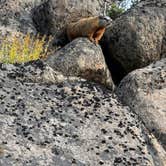 Review photo of Park Lake Campground by Cable A., October 20, 2025