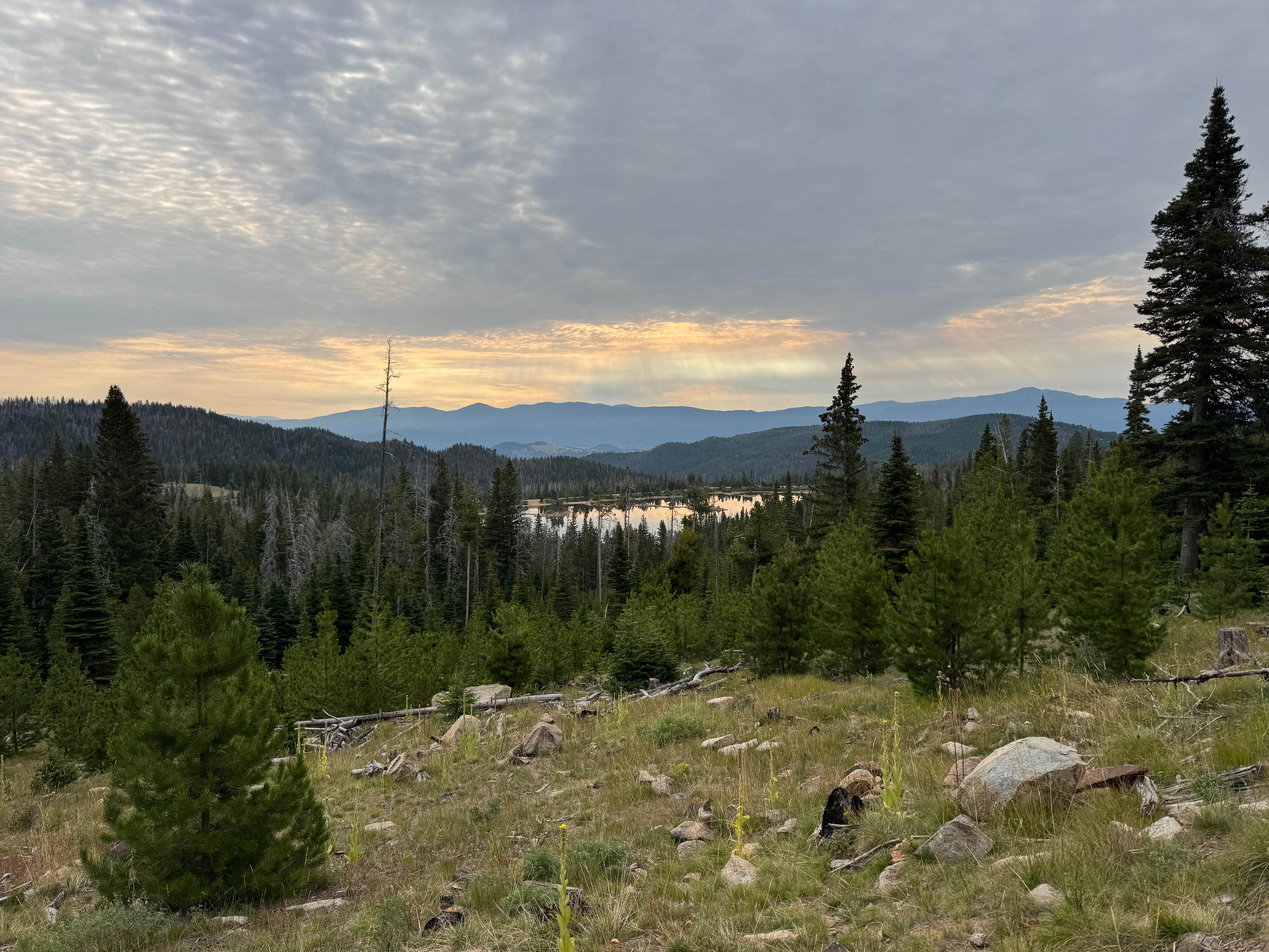 Camper submitted image from Park Lake Campground - 1