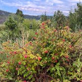 Review photo of Park Lake Campground by Cable A., October 20, 2025