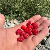 Review photo of Park Lake Campground by Cable A., October 20, 2025