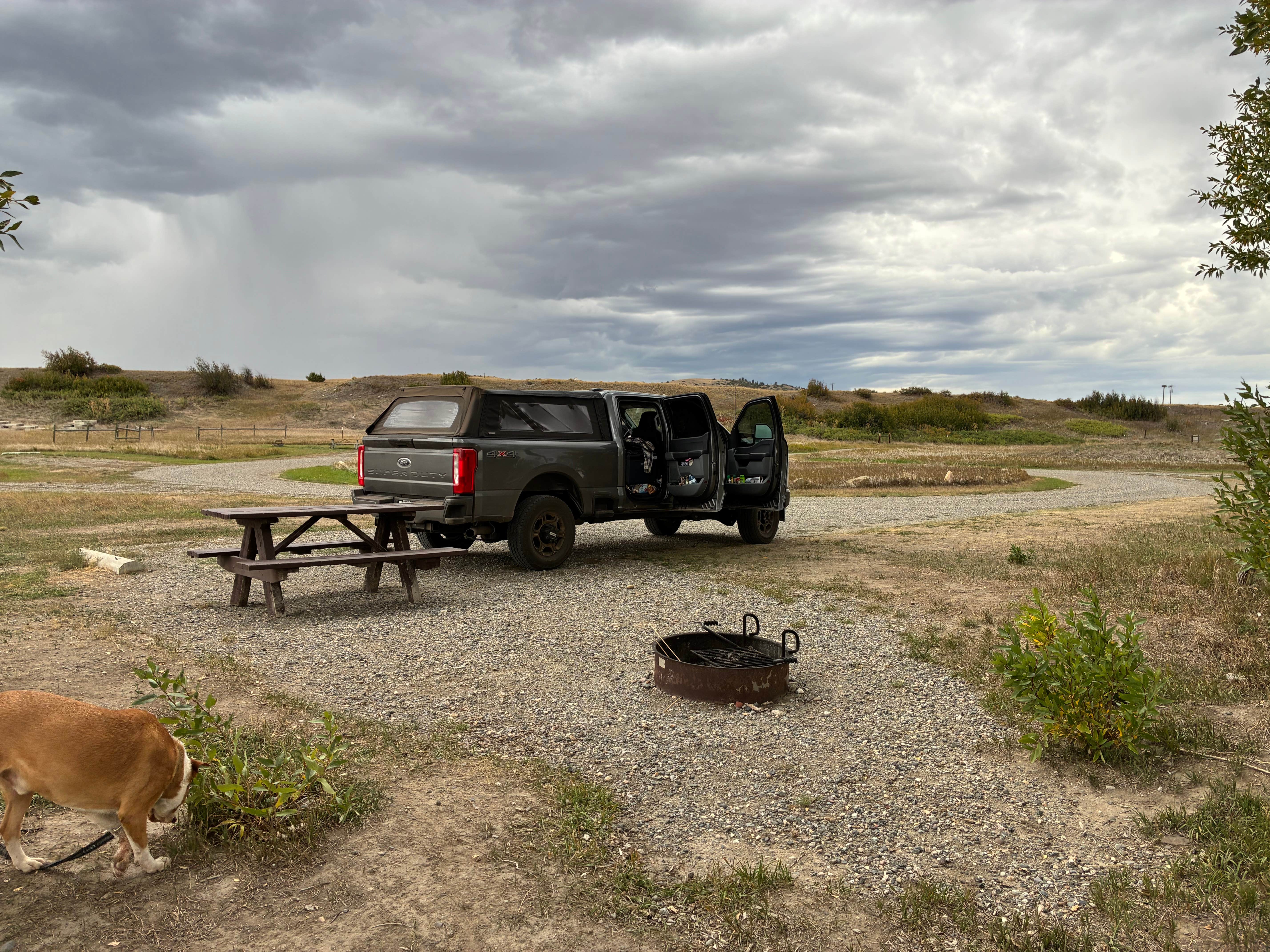 Lauren K.'s photo of camping with pets at Pelican Fishing Access Site near Melville, MT