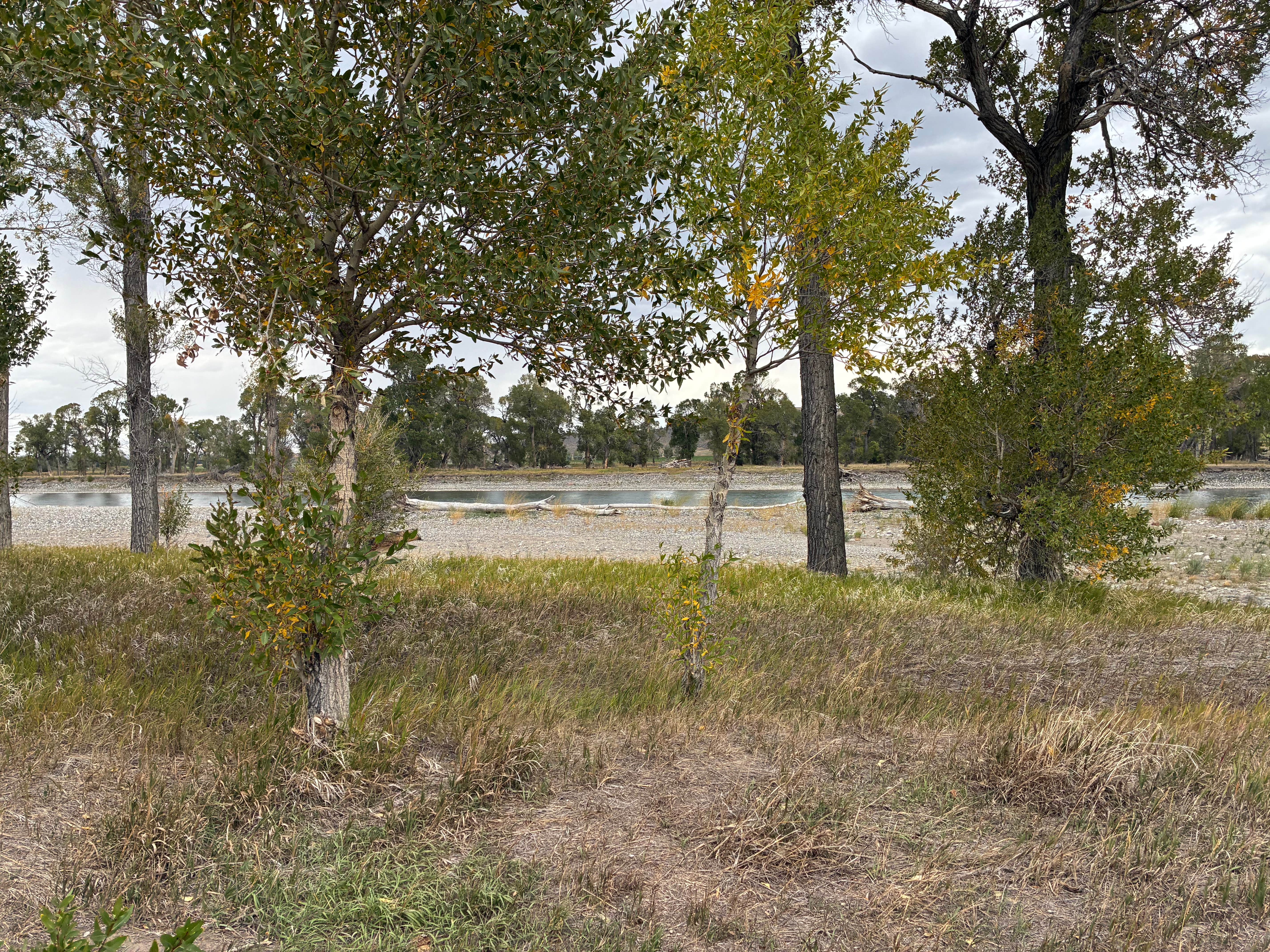 Camper-submitted photo at Pelican Fishing Access Site near Greycliff, MT