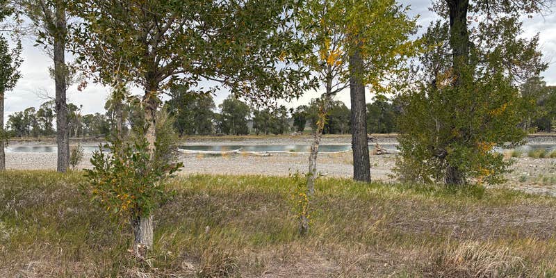Camper submitted image from Pelican Fishing Access Site