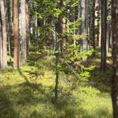 Review photo of Philipsburg Bay Campground by Holly H., September 21, 2025