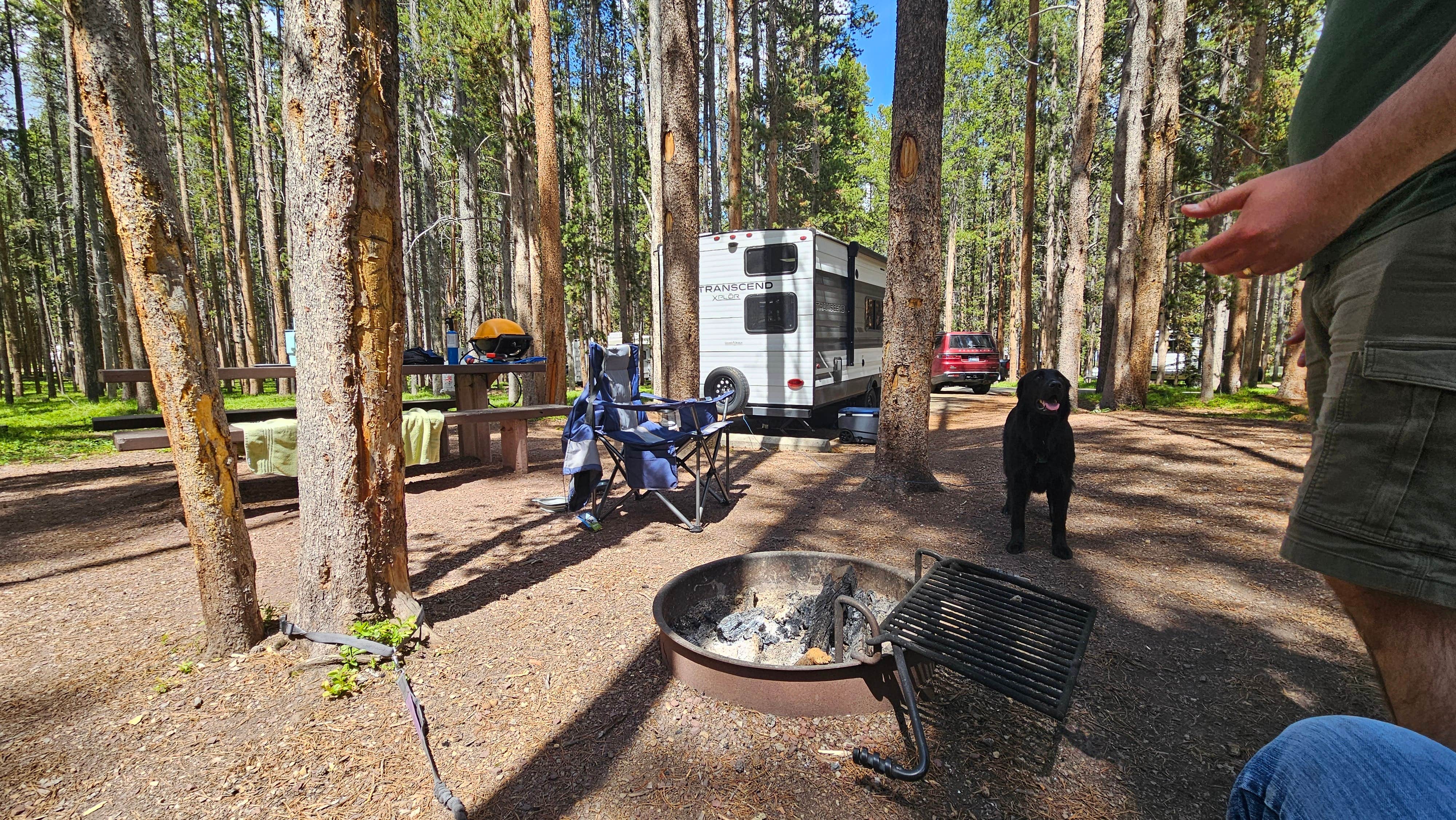 Elizabeth O.'s photo of camping with pets at Philipsburg Bay Campground near Butte, MT