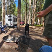 Review photo of Philipsburg Bay Campground by Elizabeth O., June 28, 2025