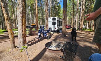 Elizabeth O.'s photo of camping with pets at Philipsburg Bay Campground near Butte, MT