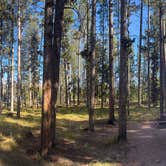 Review photo of Philipsburg Bay Campground by Teresa L B., September 26, 2026
