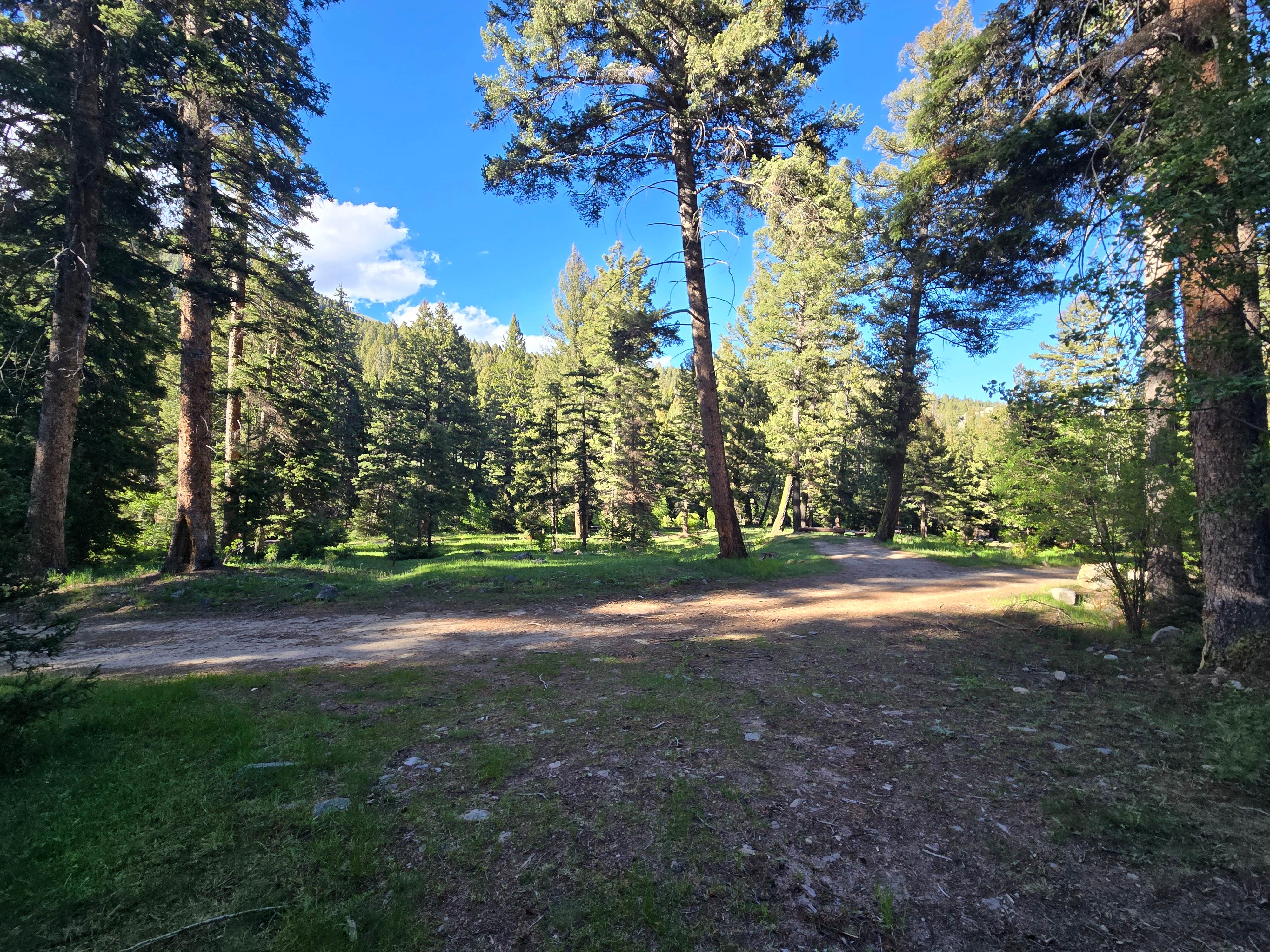 Camping near Pipestone OHV Recreation Area: Pigeon Creek, Whitehall, Montana