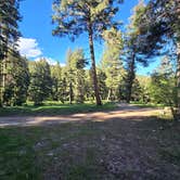 Review photo of Pigeon Creek by Andrew N., June 13, 2026