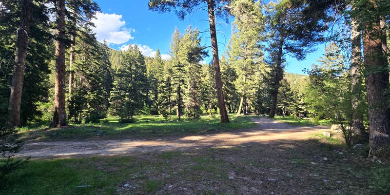 Camper submitted image from Pigeon Creek